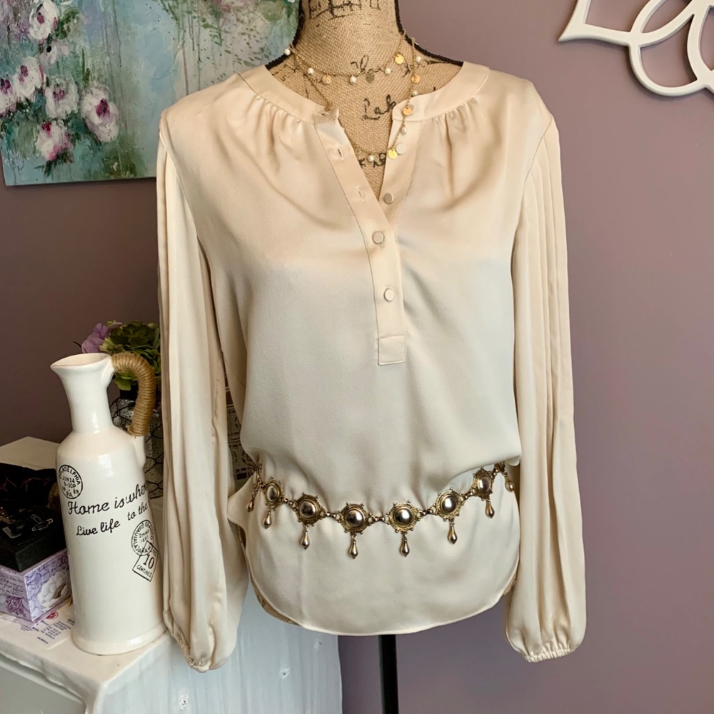 Ann Taylor Blouse With Pleated Sleeves Sz S